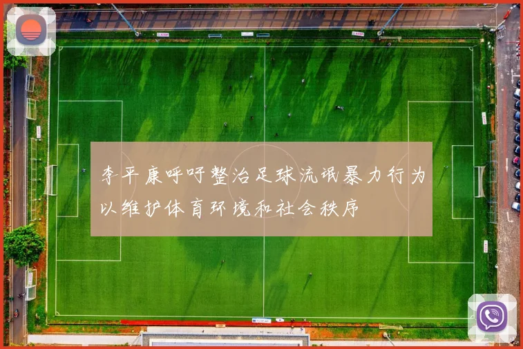 李平康呼吁整治足球流氓暴力行为以维护体育环境和社会秩序